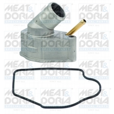 Thermostat, coolant